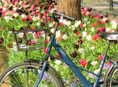 自転車通勤